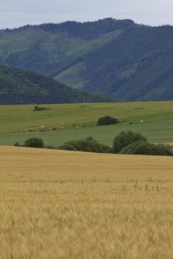 Słowackie klimaty.