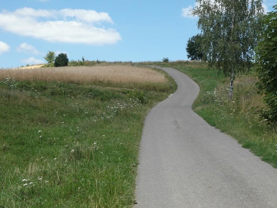 Podjazd na Kokocz