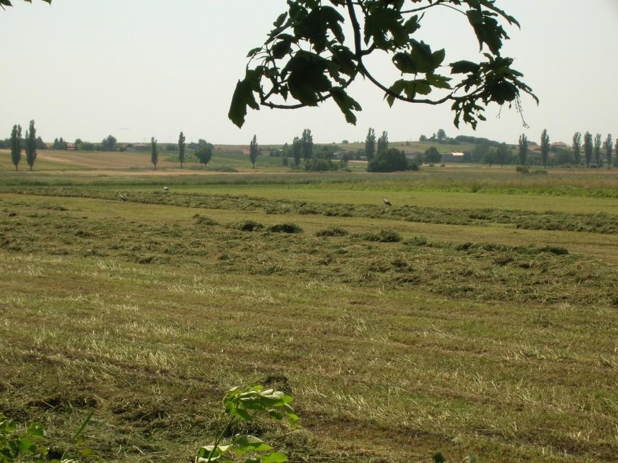 Boćki