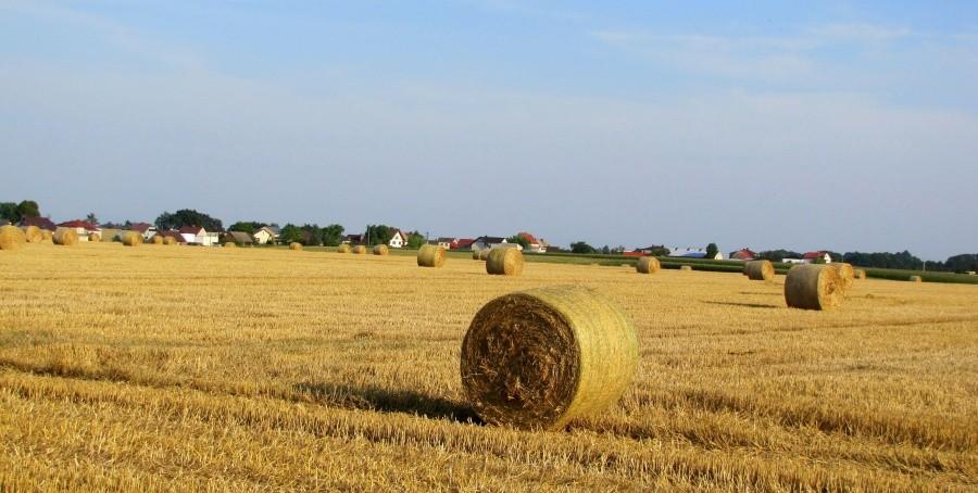 Takie widoki mnie dołują, od razu myślę o zbliżającej się zimie.