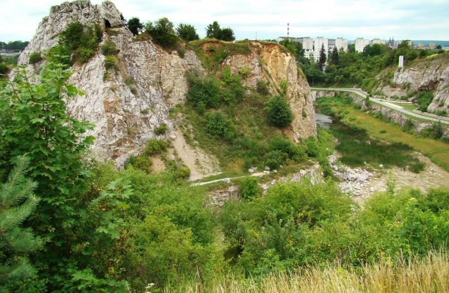 Rezerwat przyrody "Kadzielnia" w Kielcach