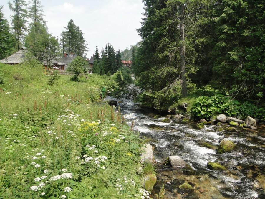 Kuźnice i Bystra