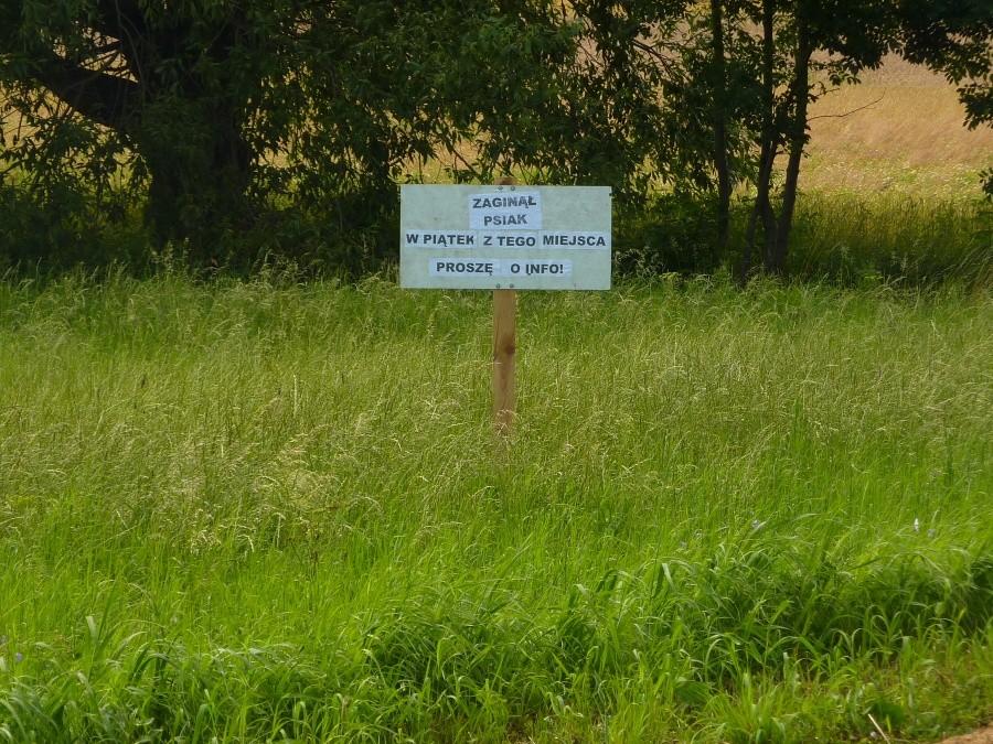 Gdzieś przy trasie