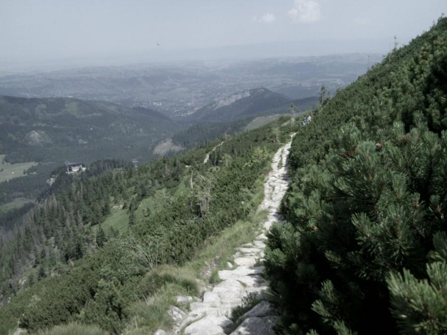 zielonym szlakiem na Kasprowy