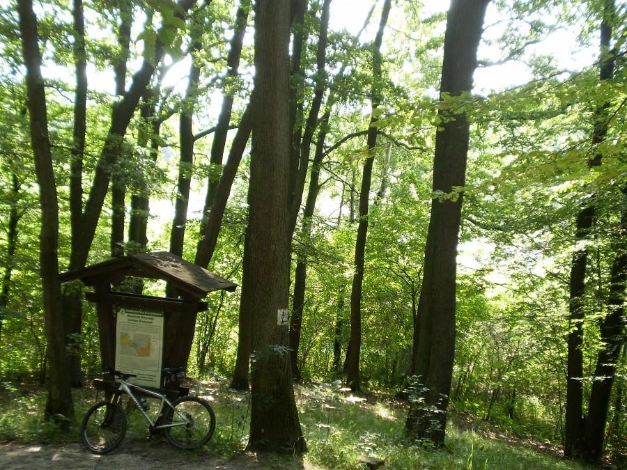 Rezerwat Jezioro Drążynek