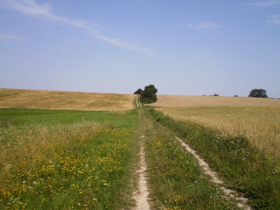 Pola pod Pobiedziskami