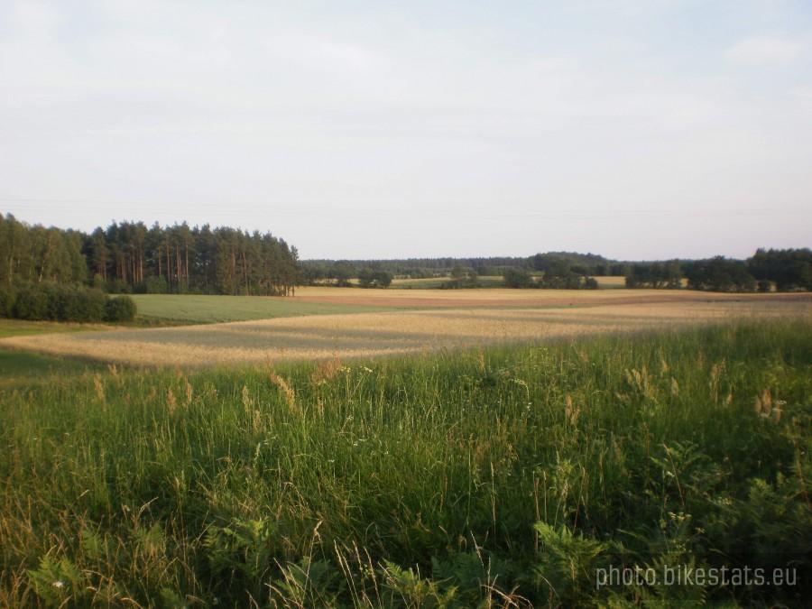 Kaszubskie krajobrazy. Widok okolic Gołubia i Szymbarku