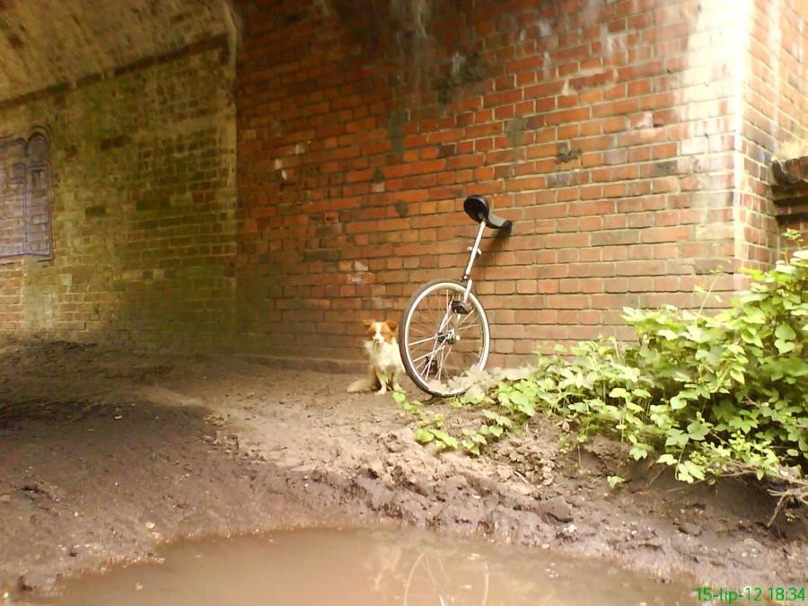 Co się oddalę, to on na rower ;)