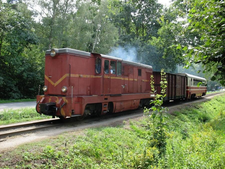 Wąskotorówka w Zalesiu Dolnym