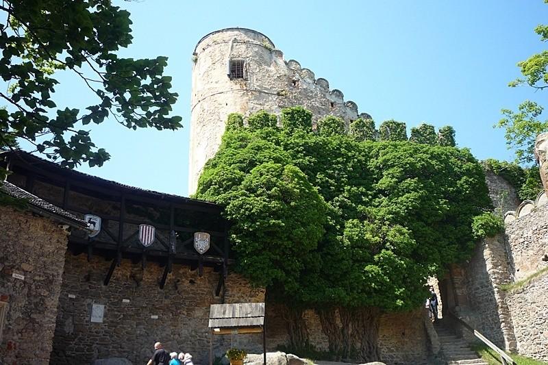 Zamek Chojnik.