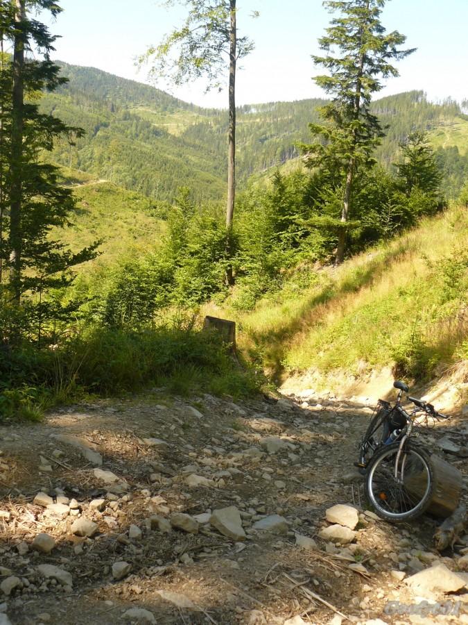 W drodze na Mladą Horę (995 m.n.p.m) - niebieski szlak