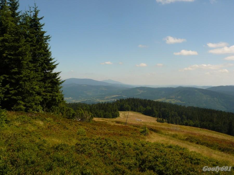 Pierwsze wyjście z... lasu ;) Widok na Pilsko i Babią :)