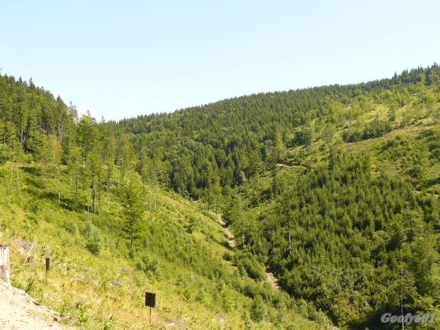 Północny stok Bendoszki.