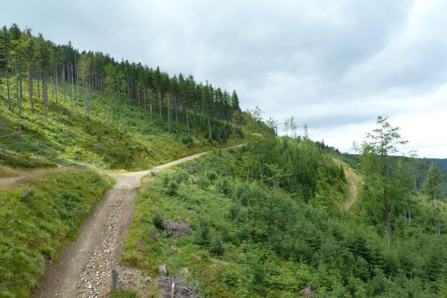 Widok z wyciągu na Skrzyczne