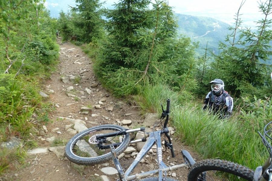 Odkrywca Górskich Zboczy miał szczęście, że trafił na większe iglaki, które go zatrzymały