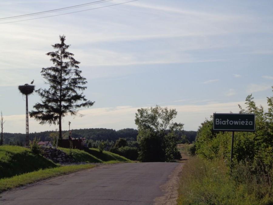 wjazd do Białowieży