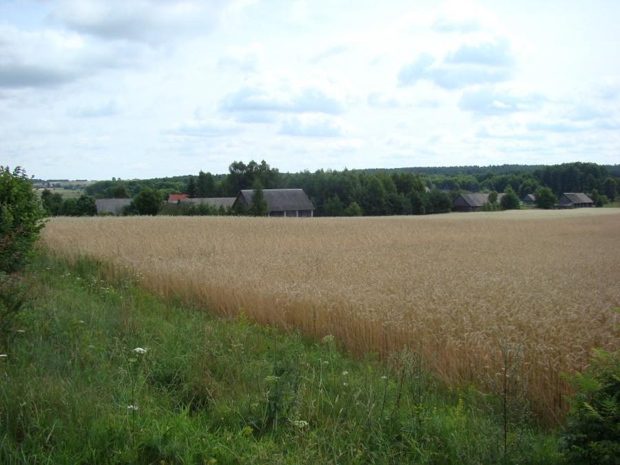 Podlasie 2012 - powrót w rodzinne strony po 20-tu latach 9
