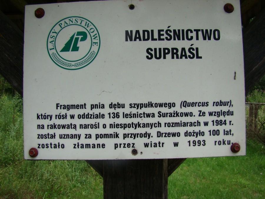 Podlasie 2012 - powrót w rodzinne strony po 20-tu latach 17