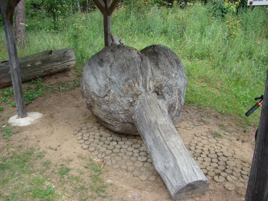 Podlasie 2012 - powrót w rodzinne strony po 20-tu latach 18