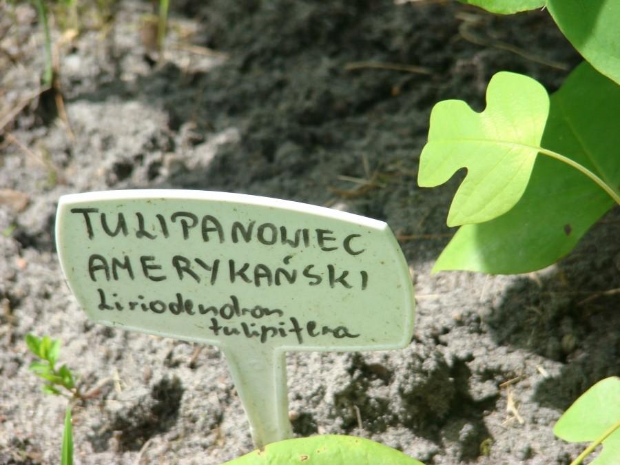 Podlasie 2012 - powrót w rodzinne strony po 20-tu latach 31