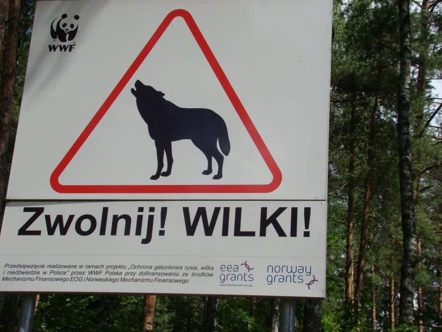Podlasie 2012 - powrót w rodzinne strony po 20-tu latach 34