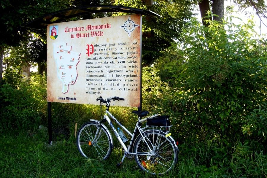 Cmentarz Mennonicki w Starej Wiśle