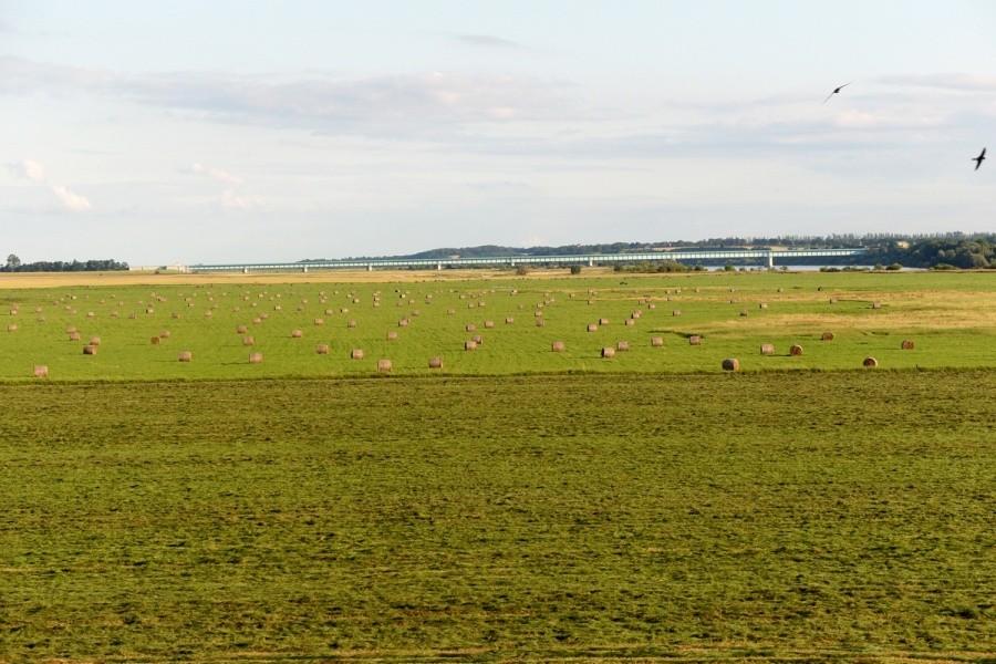 Widok na most knybawski