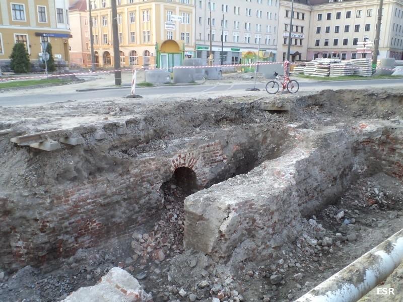 Elbląskie wykopalisko