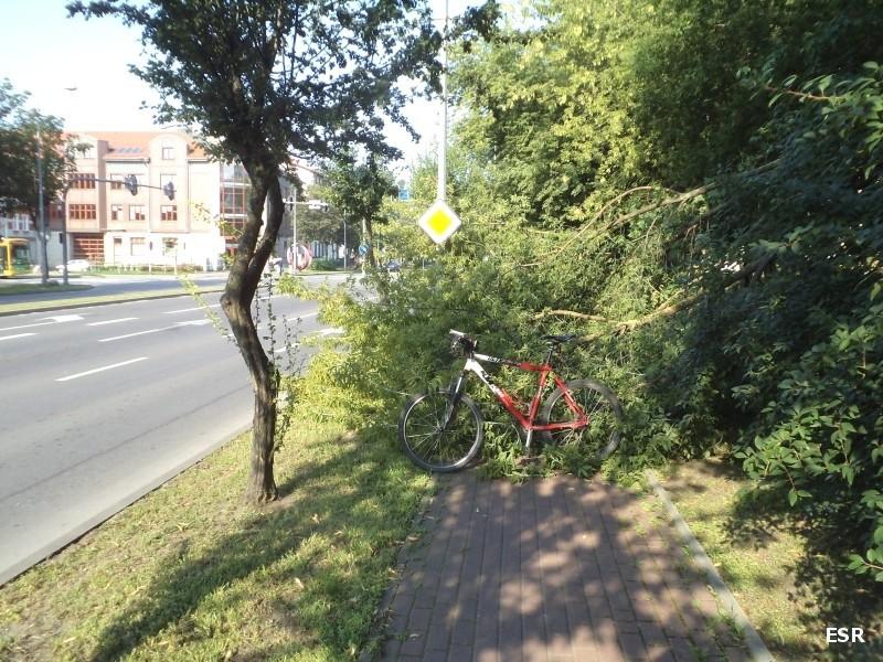 Protestujący KTM Dareckiego