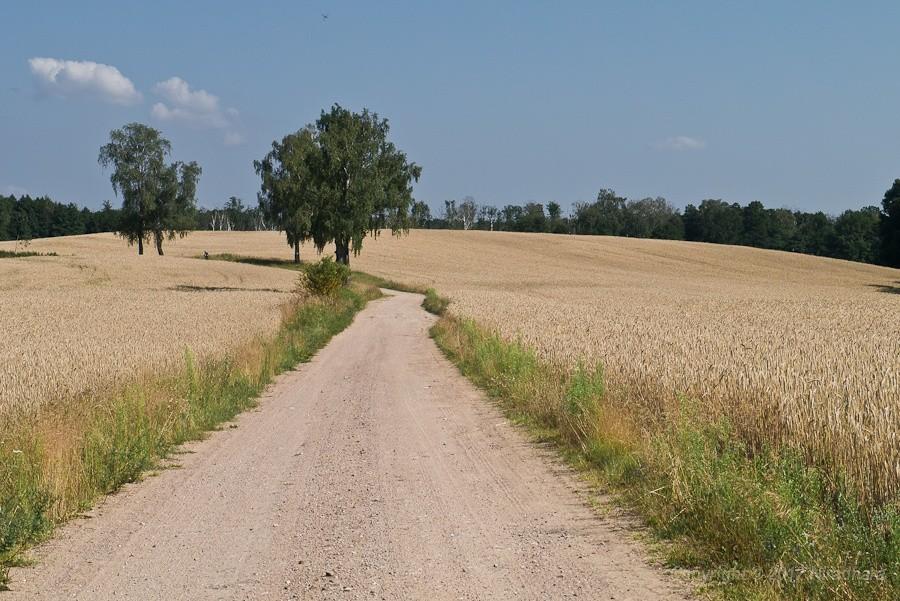sielski krajobraz