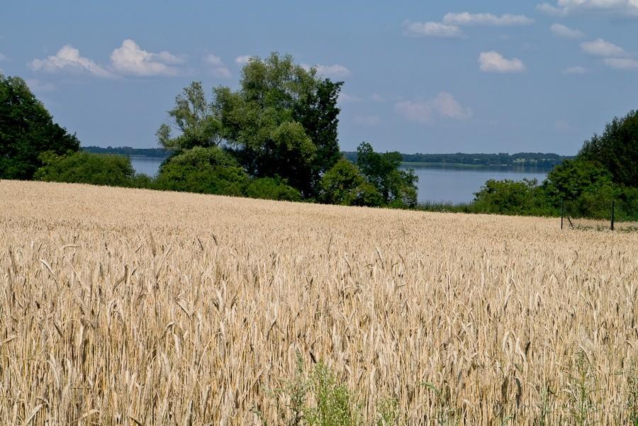 przed nami pojawia się jezioro Dobskie