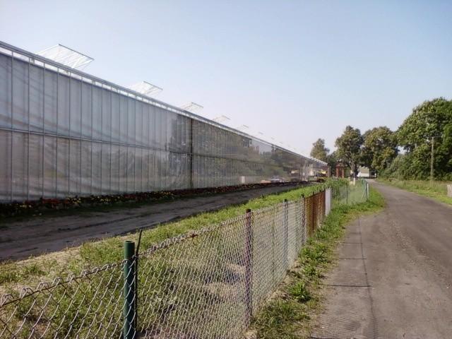Szklarnie