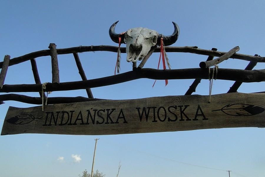 Głowa bizona jest:)