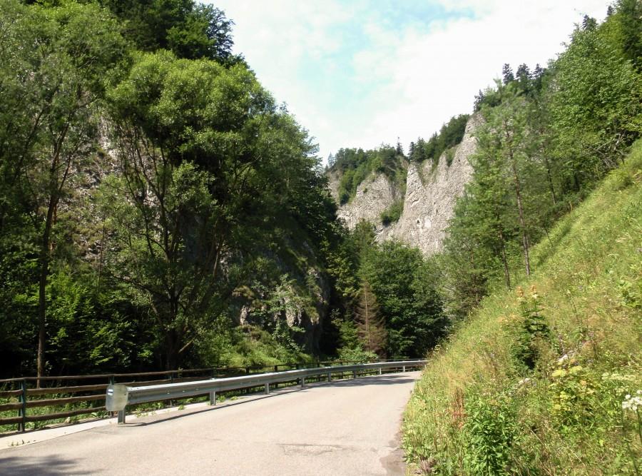 Bystrzyk