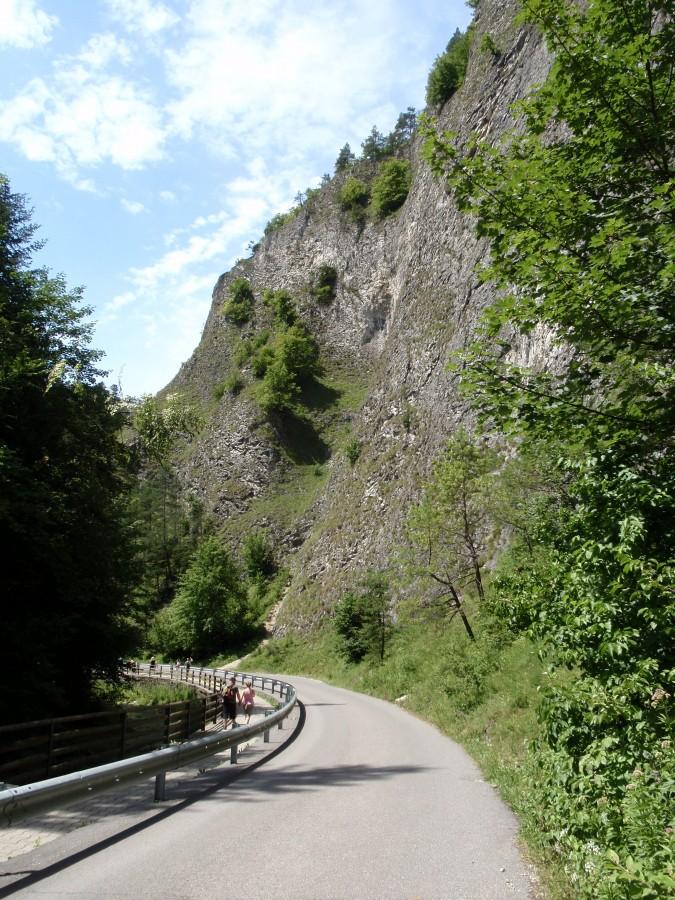 Bystrzyk