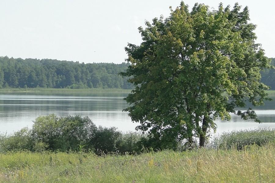 W Dobie docieramy nad jezioro Dobskie, z jednej strony bezmiar wody