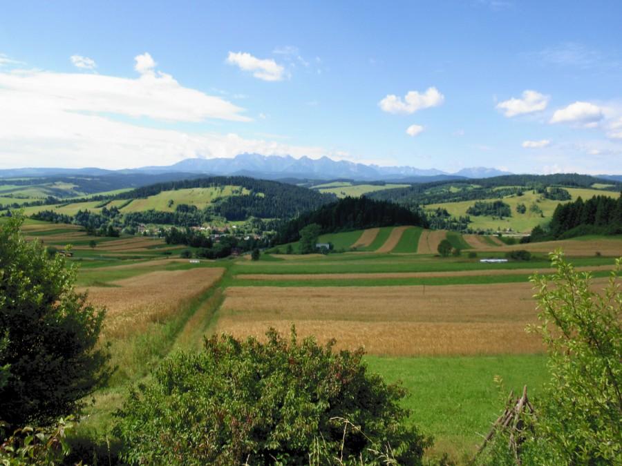 Widok na Tatry po drodze ze Sromowców do Czorsztyna
