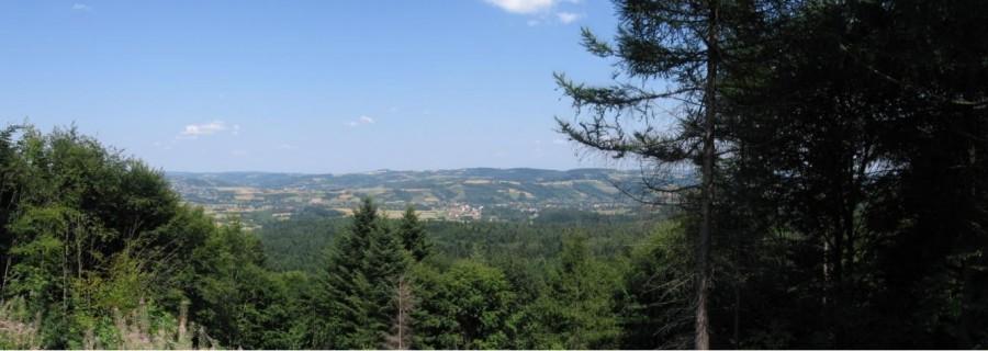 Widok z Brzeżanki