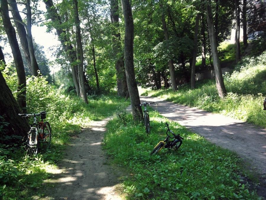 Droga przez park