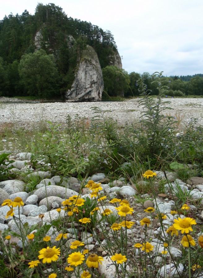 Przełom Białki