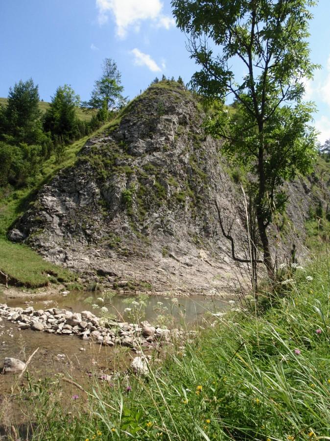 Rezerwat Białej Wody