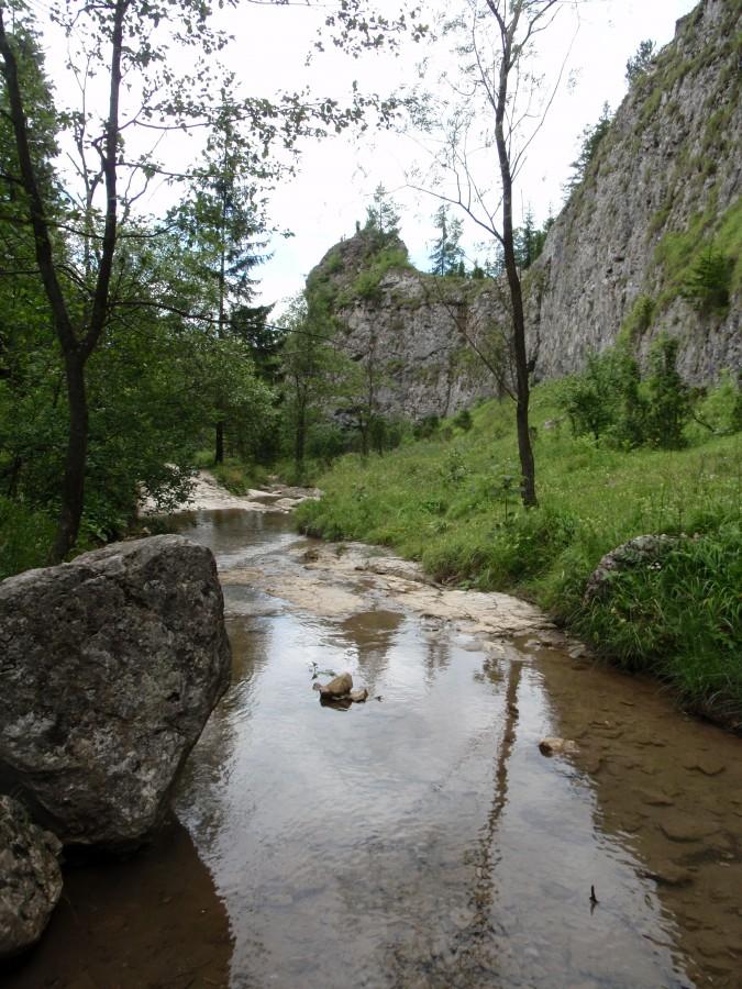 Strome zbocza w Wąwozie Homole