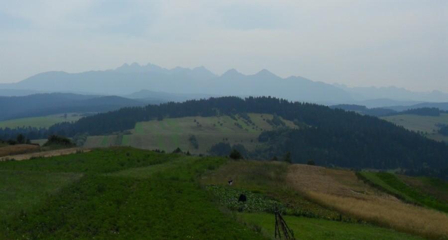 Tatry z daleka