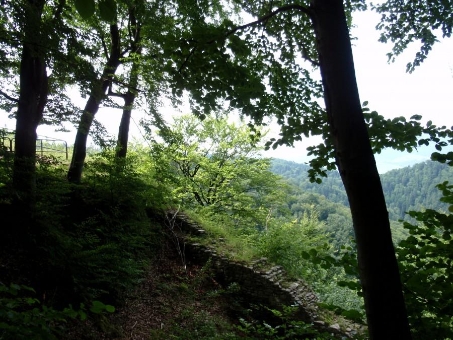Ruiny zamku Pieniny