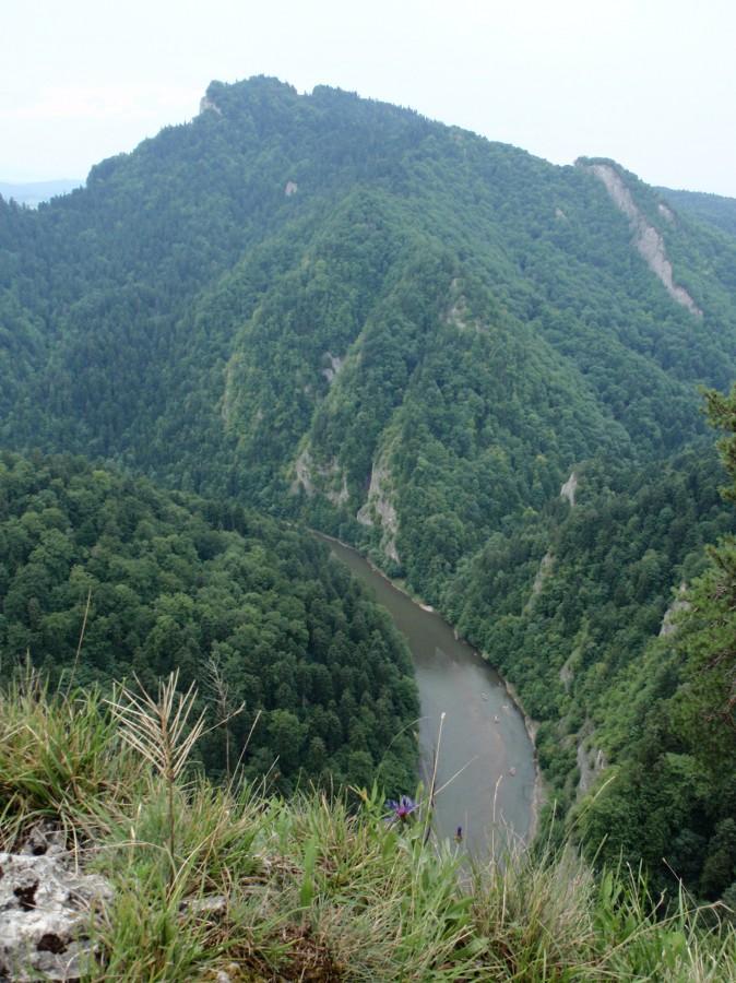 Dunajec widziany ze szczytu Sokolicy