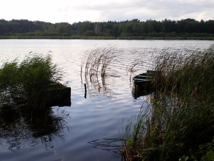 Jezioro Swarzędzkie