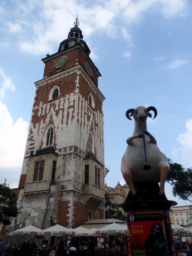 Baran-muzykant z krakowskigo rynku