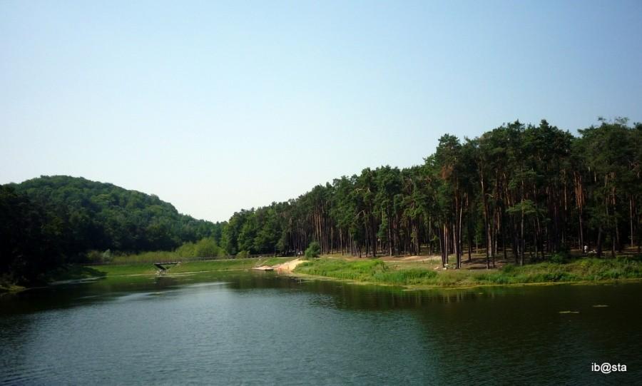 Złoty Potok - Staw Amerykan