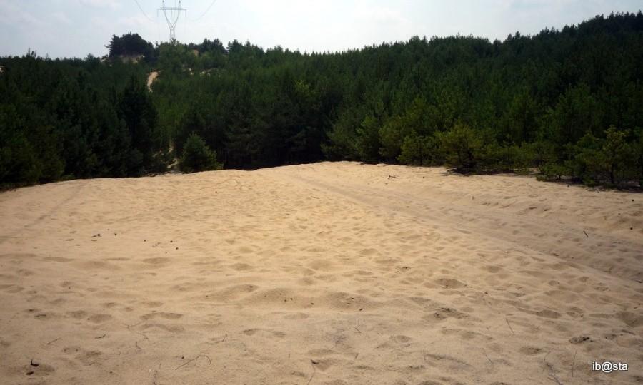 Skraj pustyni Siedleckiej