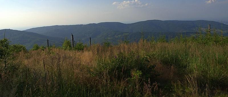 Panorama Beskidów z Magurki Wilkowickiej